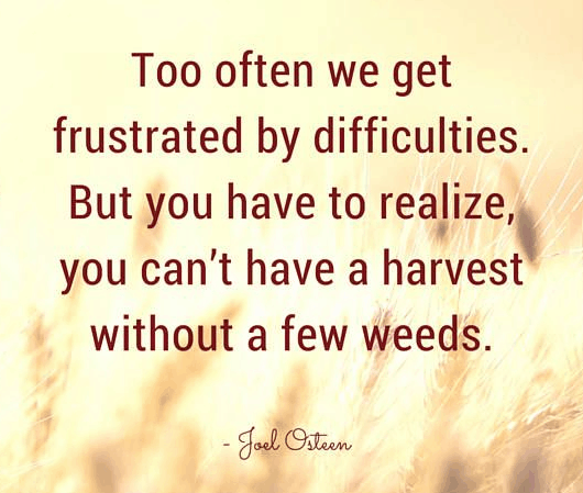 60 Inspirational Joel Osteen Quotes With Images Simple Joel Osteens Quotes 60 Inspirational Joel Osteen Quotes With Images Simple Joel Osteens Quotes