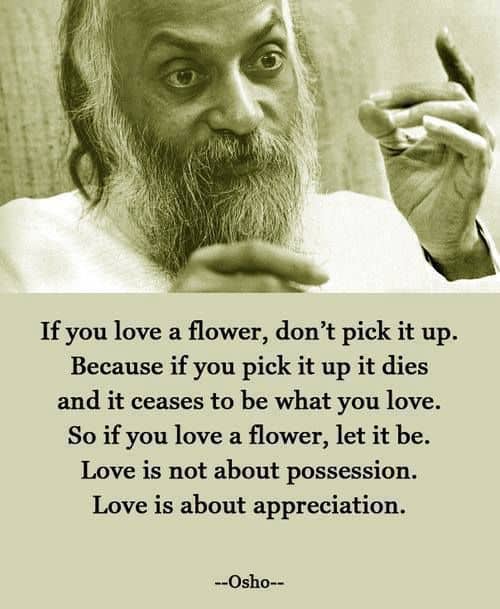 osho-quotes-flower.jpg