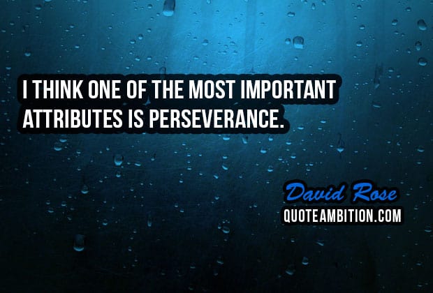 Image result for perseverance quotes
