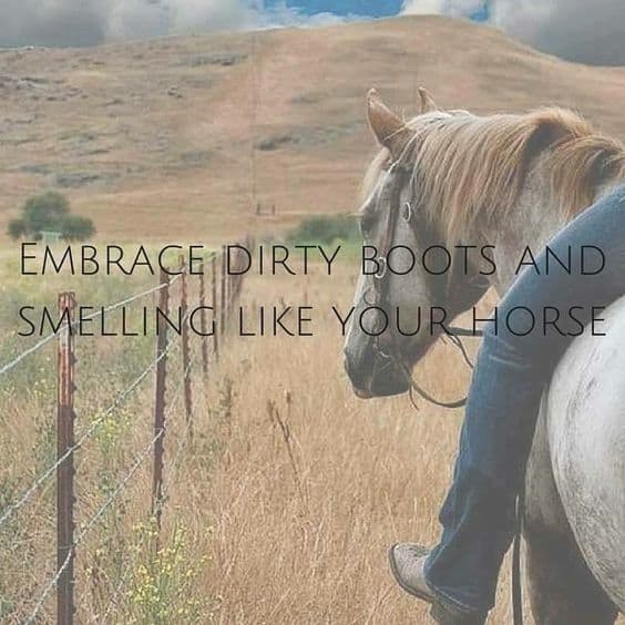 Country Quotes