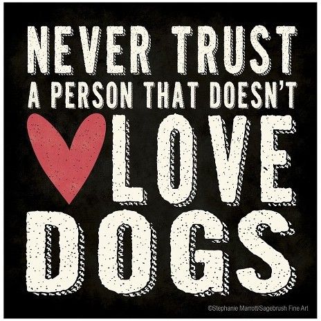 Love Dog Quotes