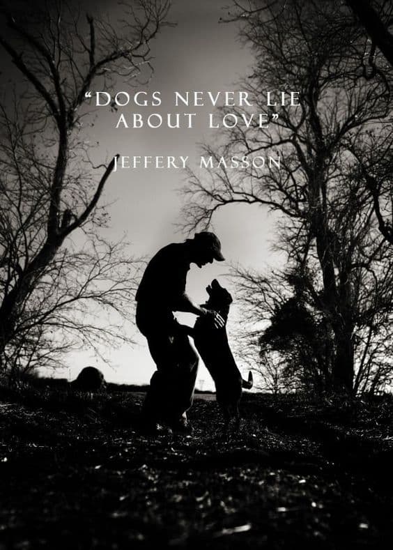Dog Quotes Love