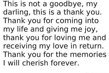 Thank you and goodbye quotes