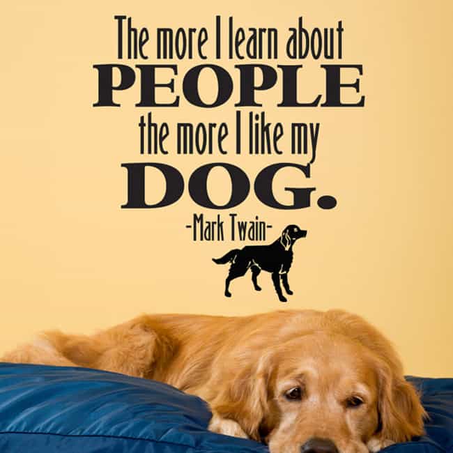 101 Dog Quotes 2022