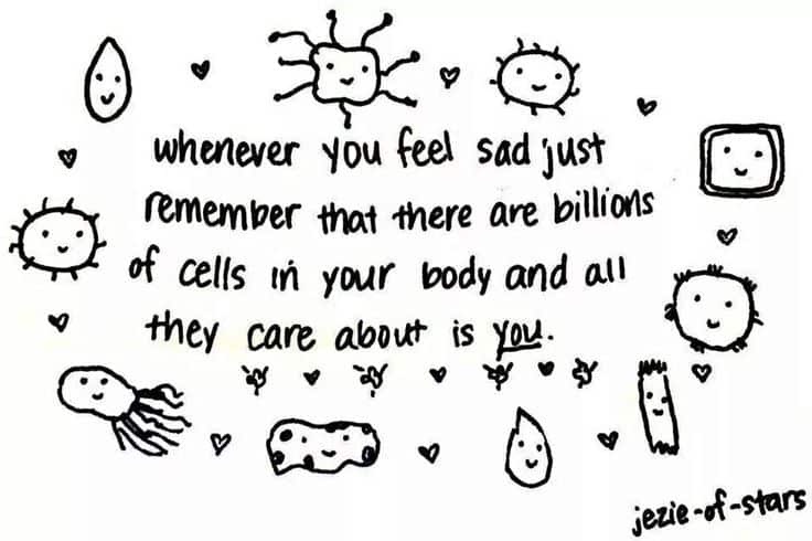 Cheer Up Quotes For Sad Friends 65 Cheer Up Quotes (2022)
