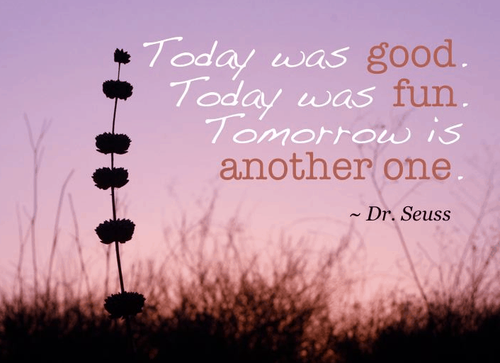 Dr. Seuss Quotes