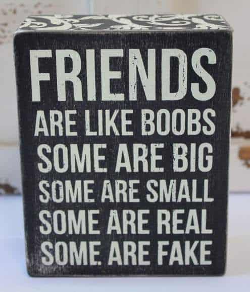 Quotes on fake friends. Like boobs.