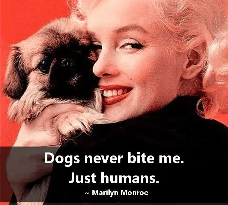 Marilyn Monroe Quotes