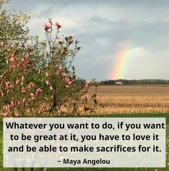 Maya Angelou Quotes