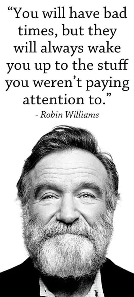 Robin Williams Quote