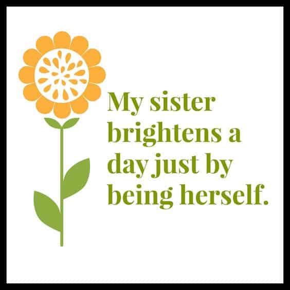 Funny Sister Quotes