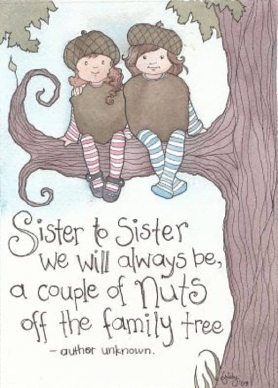 Sister Quotes