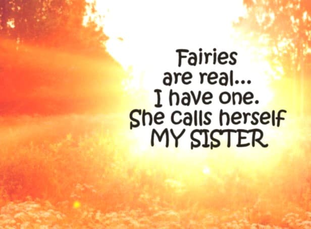 Funny Sister Quotes