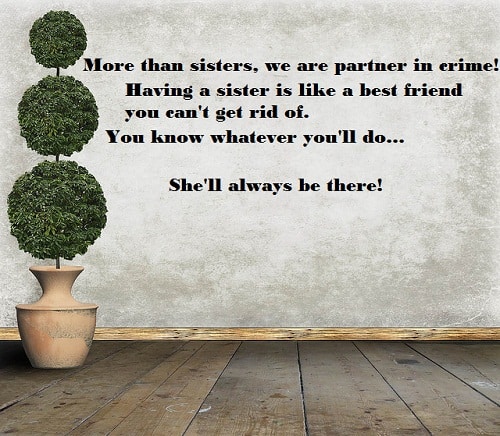 Funny Sister Quotes