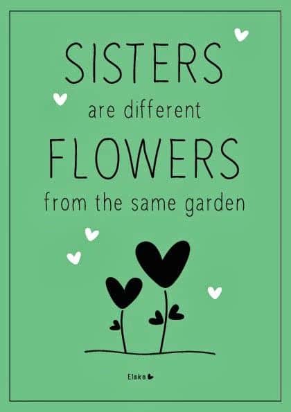 Sister Quotes Love