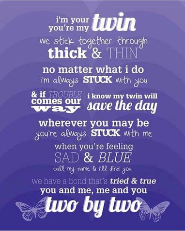 Meaningful Twin Sister Quotes 60 Funny And Cute Twin Quotes (2022)