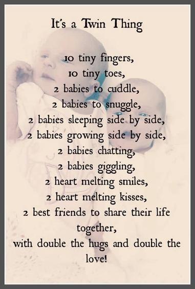 Inspirational Twin Mom Quotes 60 Funny And Cute Twin Quotes (2022)
