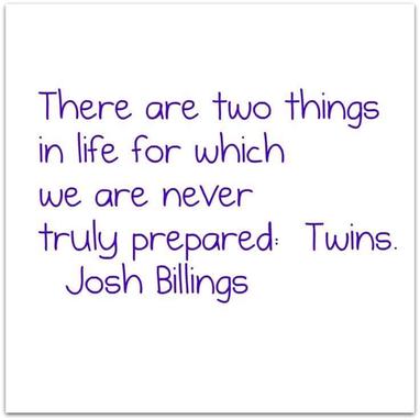 60 Funny and Cute Twin Quotes 60 Funny and Cute Twin Quotes