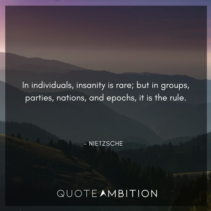 Friedrich Nietzsche Quote - In individuals, insanity is rare.