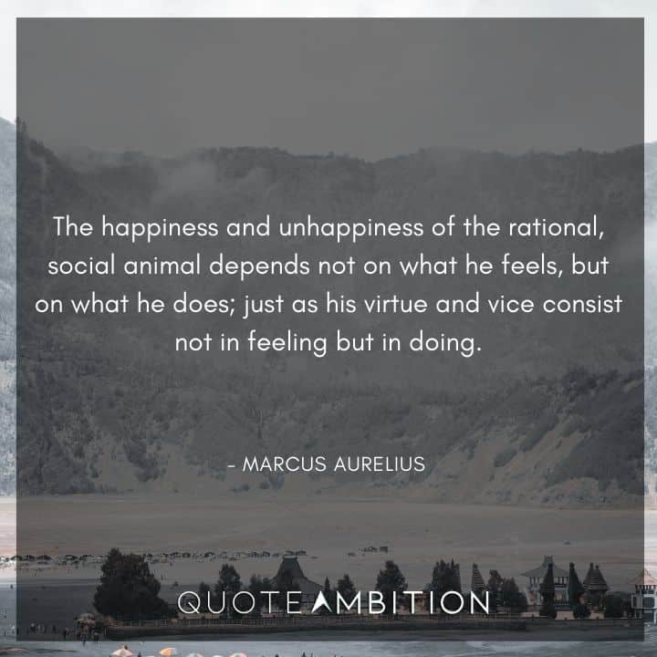 Marcus Aurelius Quote - The happiness and unhappiness of the rational, social animal depends not on what he feels, but on what he does.