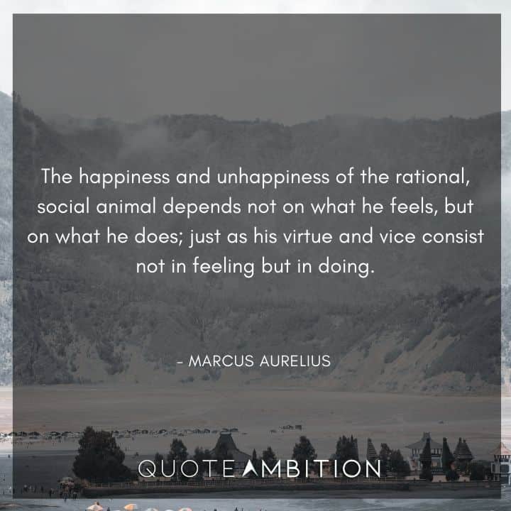 Marcus Aurelius Quote - The happiness and unhappiness of the rational, social animal depends not on what he feels, but on what he does.
