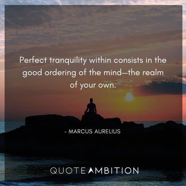 Marcus Aurelius Quote - Perfect tranquility within consists in the good ordering of the mind the realm of your own.