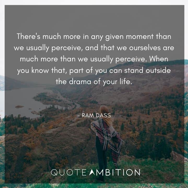 Ram Dass Quote - There's much more in any given moment than we usually perceive, and that we ourselves are much more than we usually perceive.