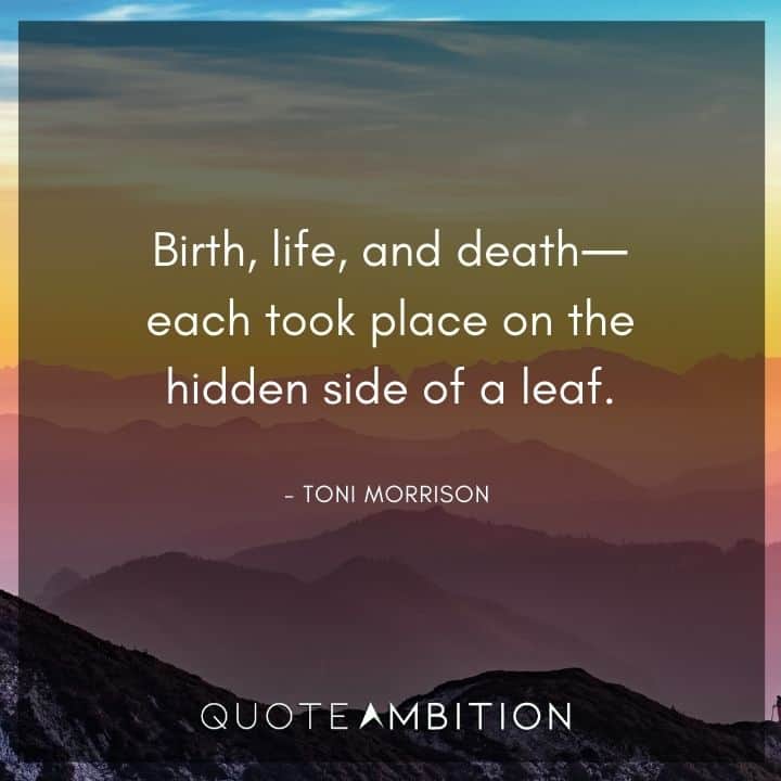 Toni Morrison Quote - Birth, life, and death each took place on the hidden side of a leaf