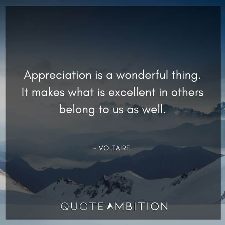 Voltaire Quote - Appreciation is a wonderful thing