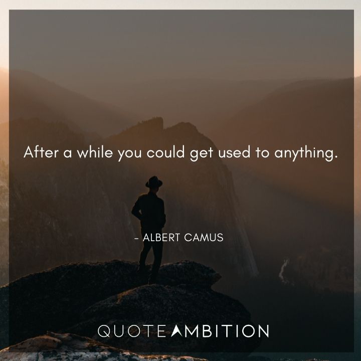 Albert Camus Quote - After a while you could get used to anything.