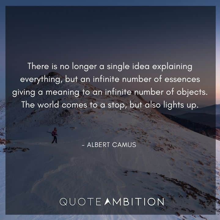 Albert Camus Quote - There is no longer a single idea explaining everything, but an infinite number of essences giving a meaning to an infinite number of objects.