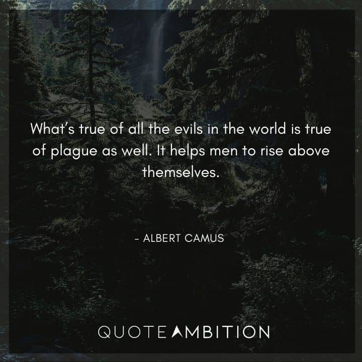 Albert Camus Quote - What's true of all the evils in the world is true of plague as well.