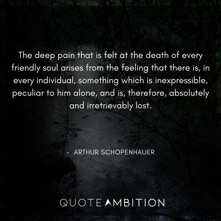 Arthur Schopenhauer Quote - The deep pain that is felt at the death of every friendly soul arises from the feeling that there is, in every individual, something which is inexpressible, peculiar to him alone, and is, therefore, absolutely and irretrievably lost.
