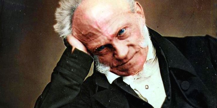 150 Arthur Schopenhauer Quotes On Nature Free Will 22