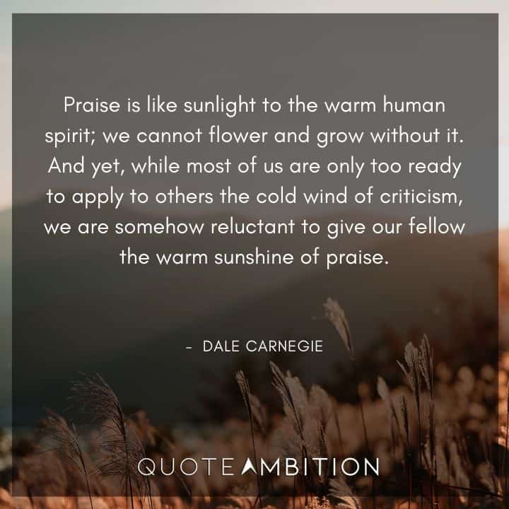 Dale Carnegie Quotes - Praise is like sunlight to the warm human spirit.