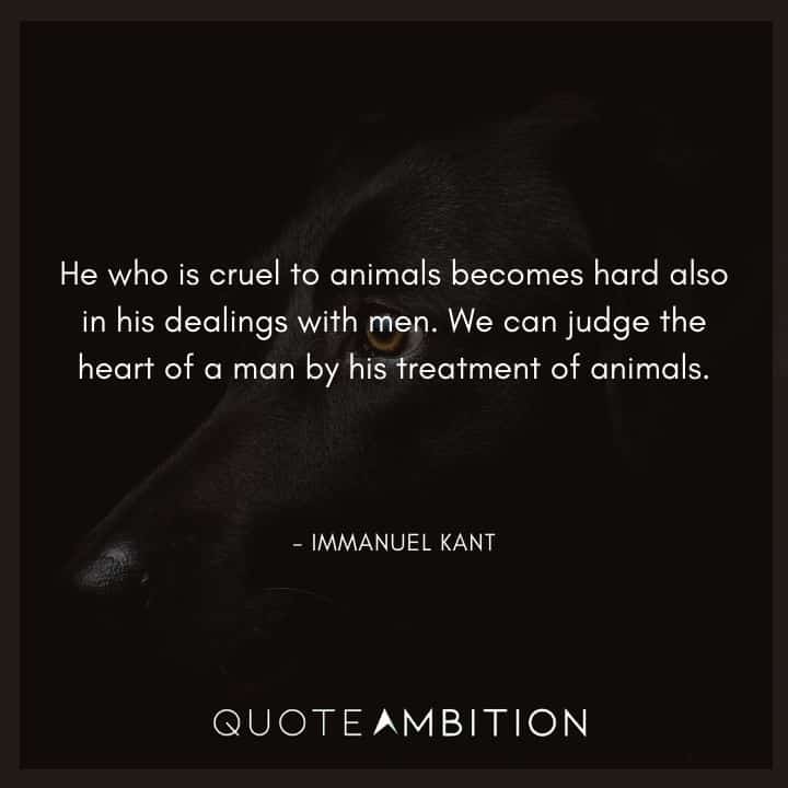 Immanuel Kant Quote - He who is cruel to animals becomes hard also in his dealings with men.