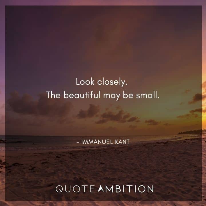 Immanuel Kant Quote - Look closely. The beautiful may be small.