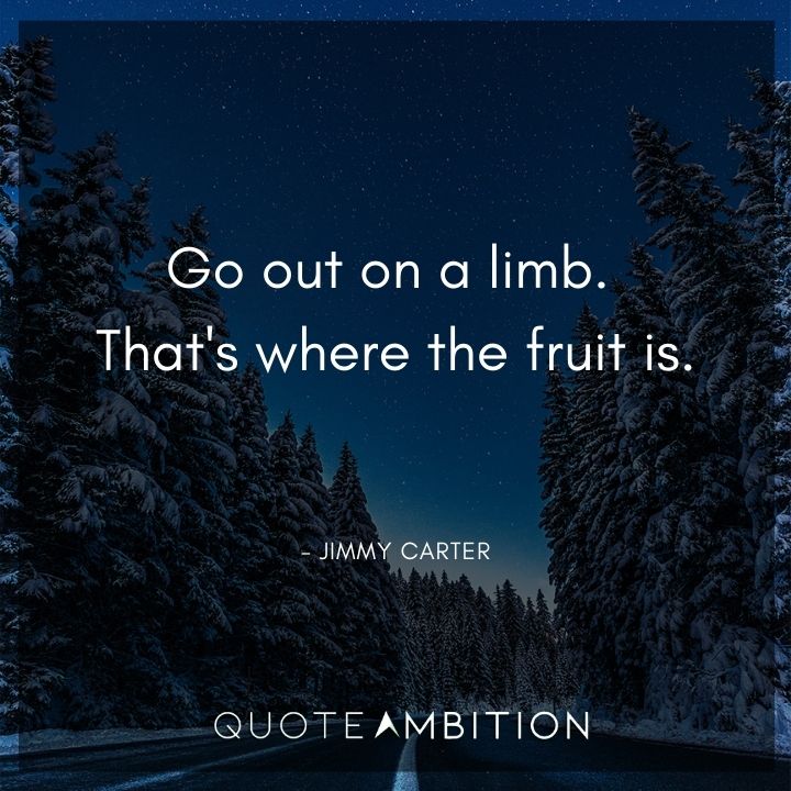 Jimmy Carter Quotes - Go out on a limb. That's where the fruit is.