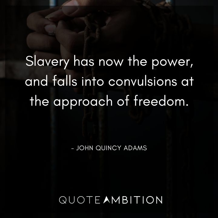 John Quincy Adams Quotes - Slavery has now the power, and falls into convulsions at the approach of freedom.