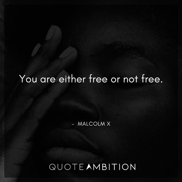 Malcolm X Quotes - You are either free or not free.