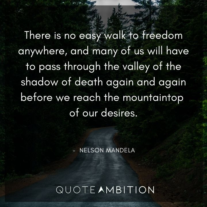 Nelson Mandela Quotes - There is no easy walk to freedom anywhere.