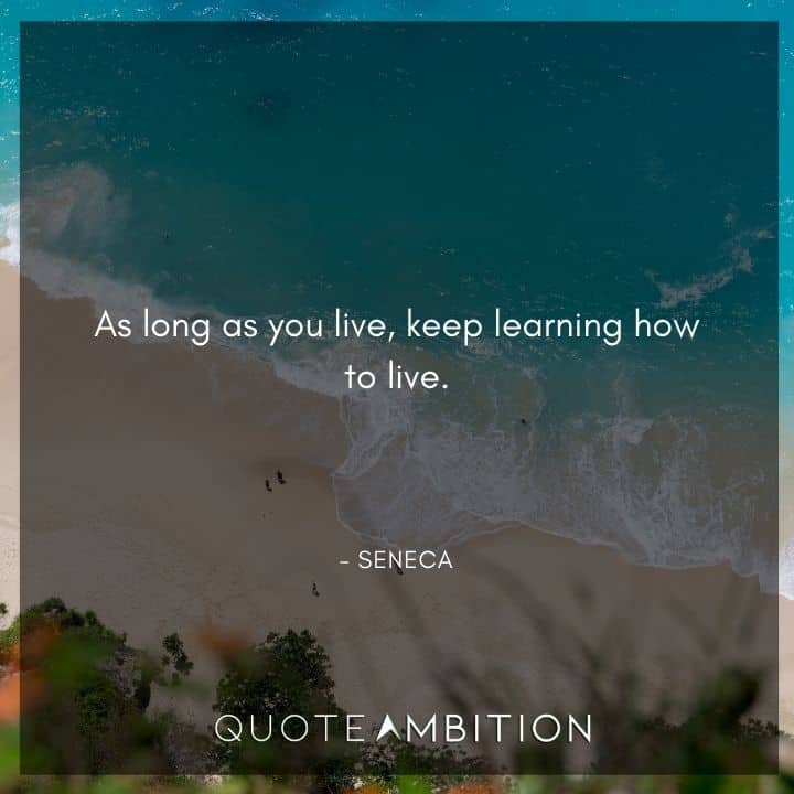 Seneca Quote - As long as you live, keep learning how to live.