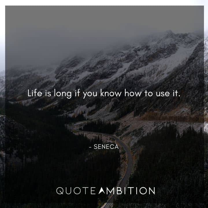 Seneca Quote - Life is long if you know how to use it.