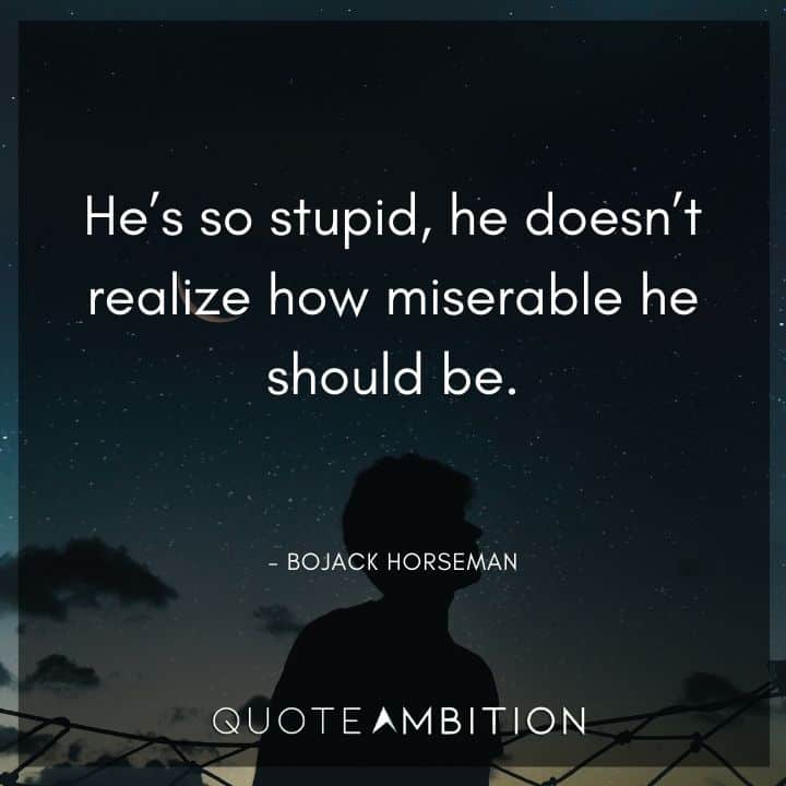 BoJack Horseman Quote - He's so stupid, he doesn't realize how miserable he should be.