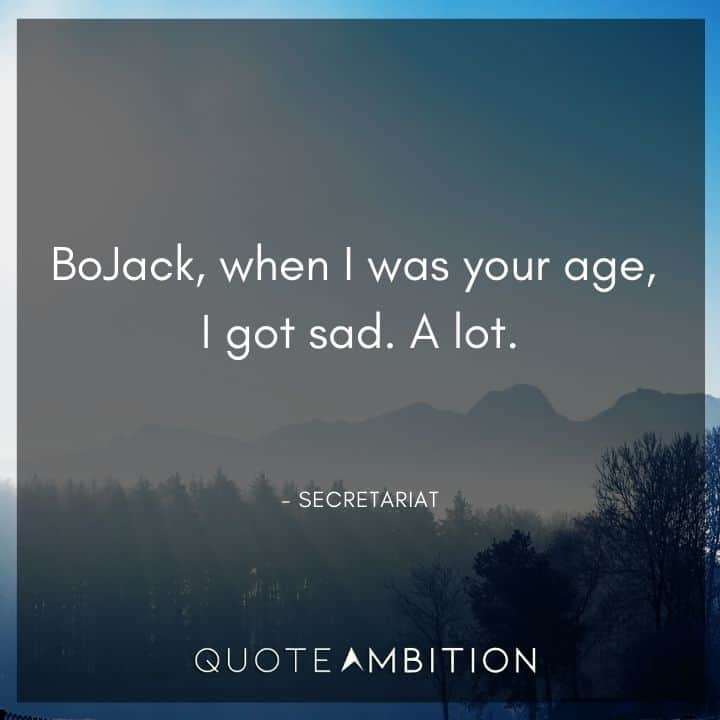 BoJack Horseman Quote - BoJack, when I was your age, I got sad. A lot. 