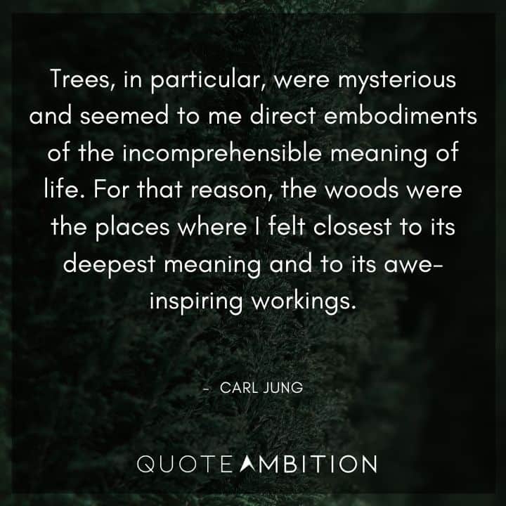 Carl Jung Quote - Trees, in particular, were mysterious and seemed to me direct embodiments of the incomprehensible meaning of life. 
