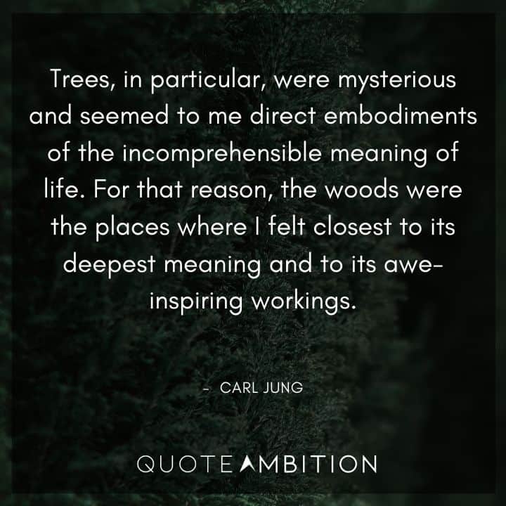 Carl Jung Quote - Trees, in particular, were mysterious and seemed to me direct embodiments of the incomprehensible meaning of life.