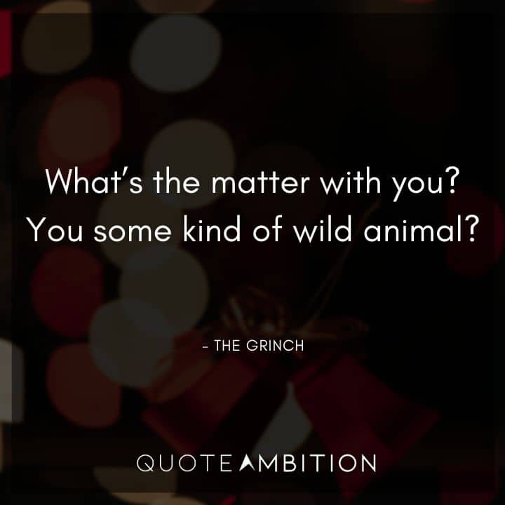 Grinch Quote - What's the matter with you? You some kind of wild animal?