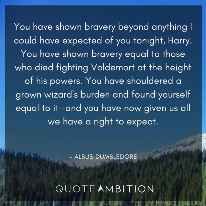 Harry Potter Quote - You have shown bravery equal to those who died fighting Voldemort at the height of his powers. You have shouldered a grown wizard's burden and found yourself equal to it.