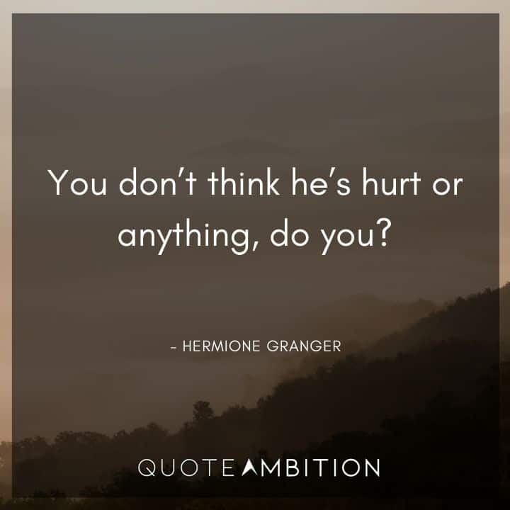 Harry Potter Quote - You don't think he's hurt or anything, do you?